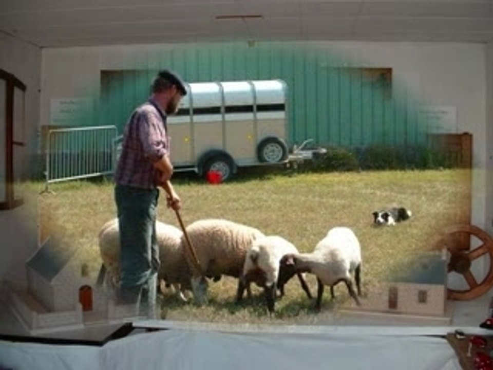 Foire de Ste-Catherine