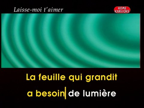 KARAOKE MIKE BRANT - Laisse-moi t'aimer