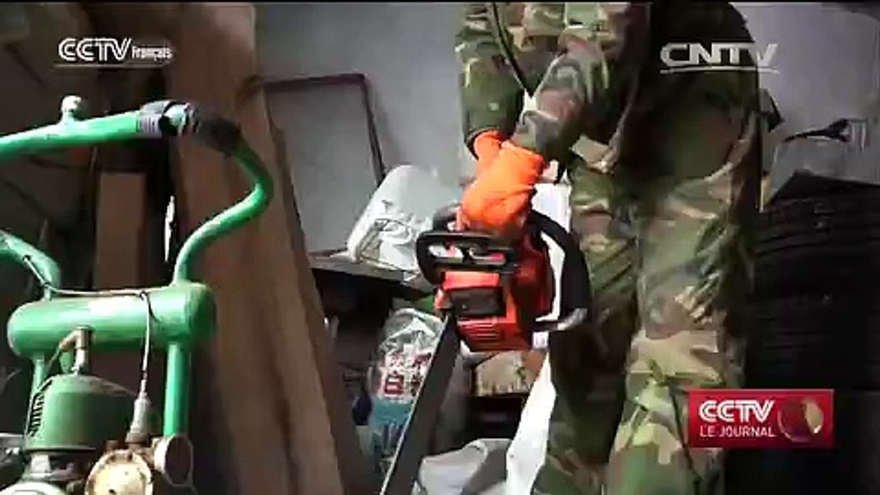 Protection des forêts : la Chine bannira l’abattage commercial d’ici 2017