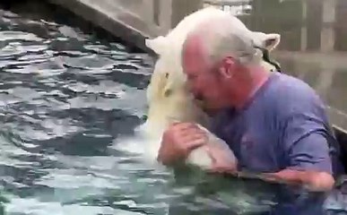 Adorable and Hilarious Bear Pet Moments 🐻