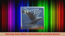 Read  Herring Gull Dillon Remarkable Animals Book Ebook Online