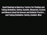 Quail Hunting In America: Tactics For Finding and Taking Bobwhite Valley Gamble Mountain Scaled