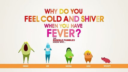 Why do you feel Cold when you have Fever