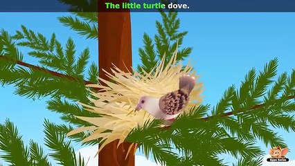 High in the Pine tree – Nursery Rhyme with Karaoke
