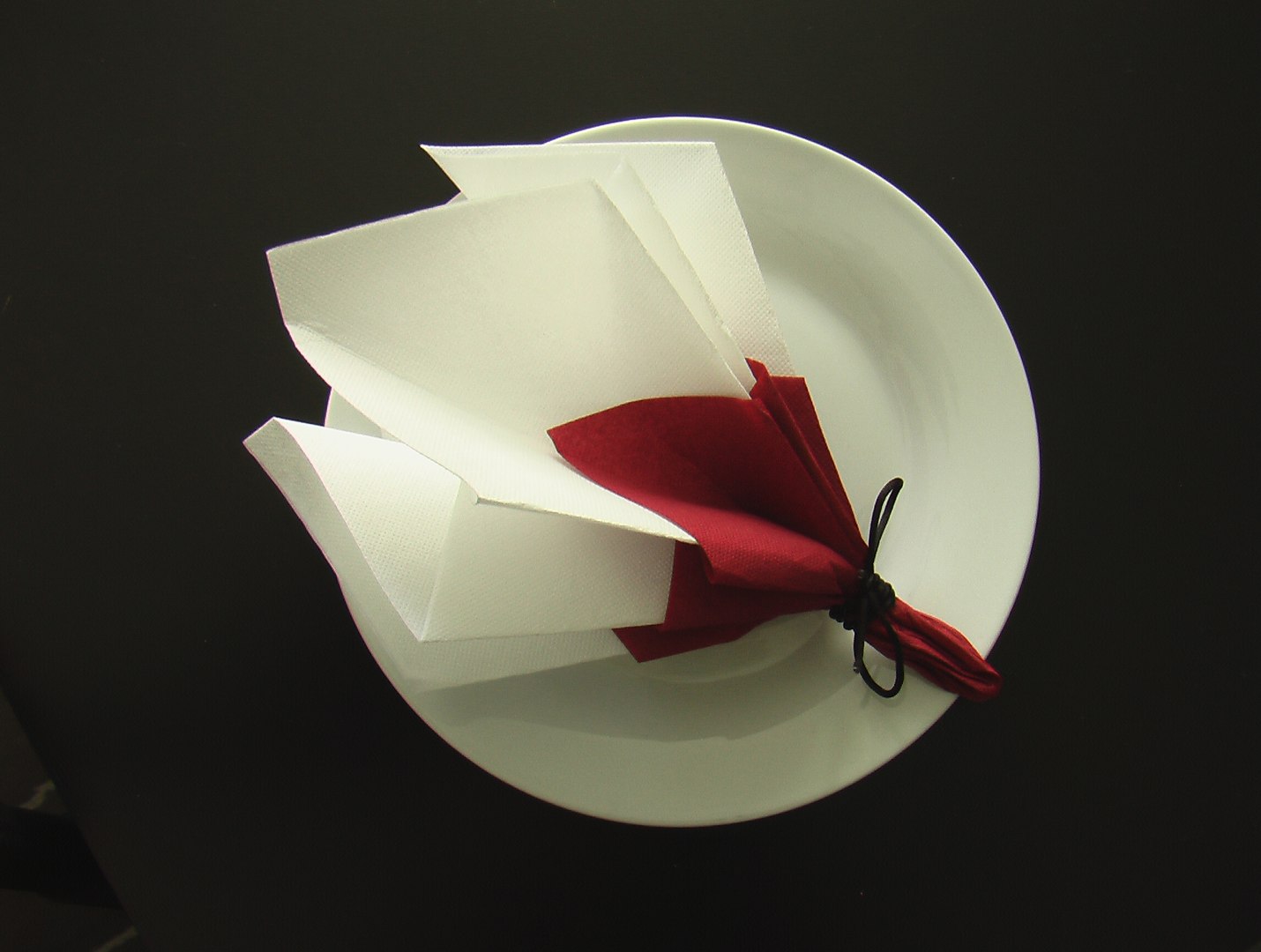 Pliage Des Serviettes En Papier Pliage serviette bouquet de printemps - Vidéo Dailymotion