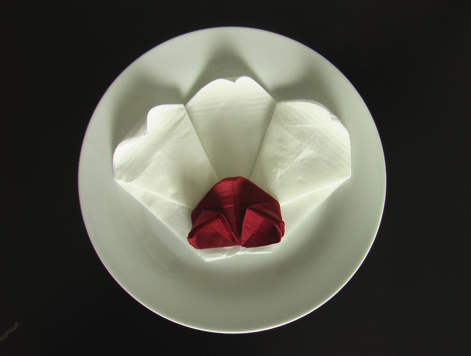 Pliage serviette orchidée