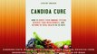 Candida Cure How to Boost Your Immune System Reverse Food Intolerances and Return to
