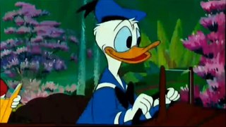 Disney Classic Cartoons Donald Duck | Chip and Dale and Donald Duck Episodes Pluto 2015