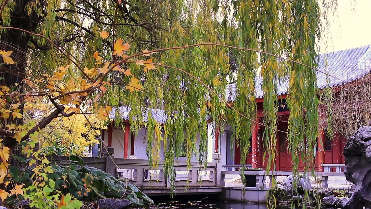 Le parc Asiatique de Marseille sous l'automne