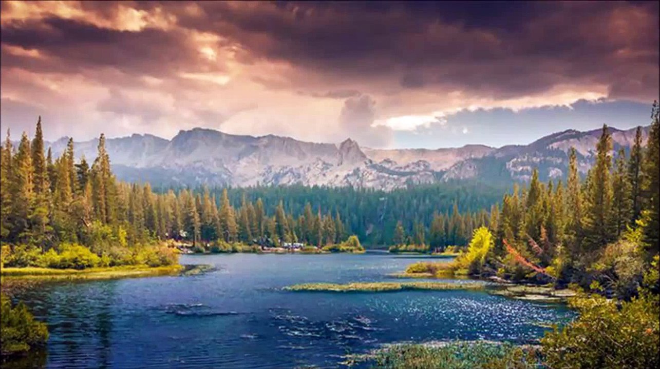 Felix Mendelssohn  Song Without Words for Cello and Piano in D major Op 109