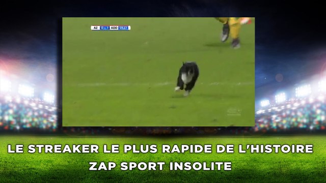 Le streaker le plus rapide de l'histoire zap sport insolite