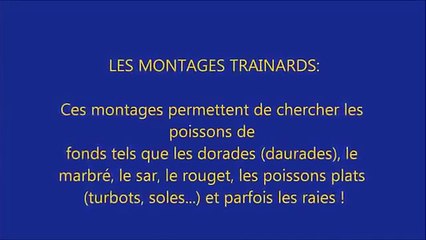 Les meilleurs montages pour surfcasting