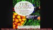 The 21 Day Cleanse The Definitive Guide to a Naturopathic Detox