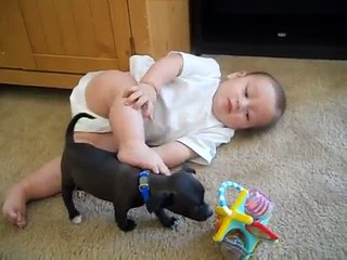 cutest baby playing with dog -