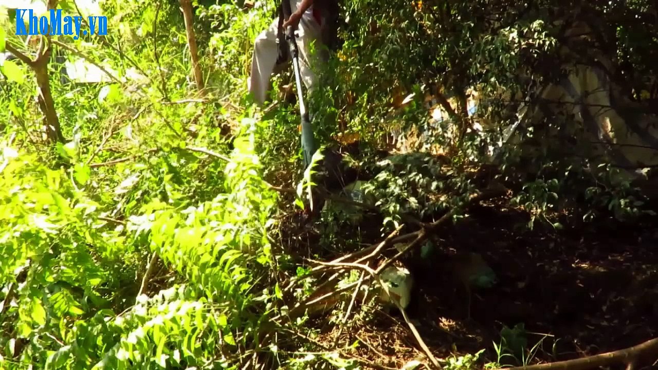 Máy Cắt Cành Chạy Điện, Máy Cắt Cành Tầm Cao, Máy Cắt Cành, Máy Cắt Tỉa Cành Trên Cao.