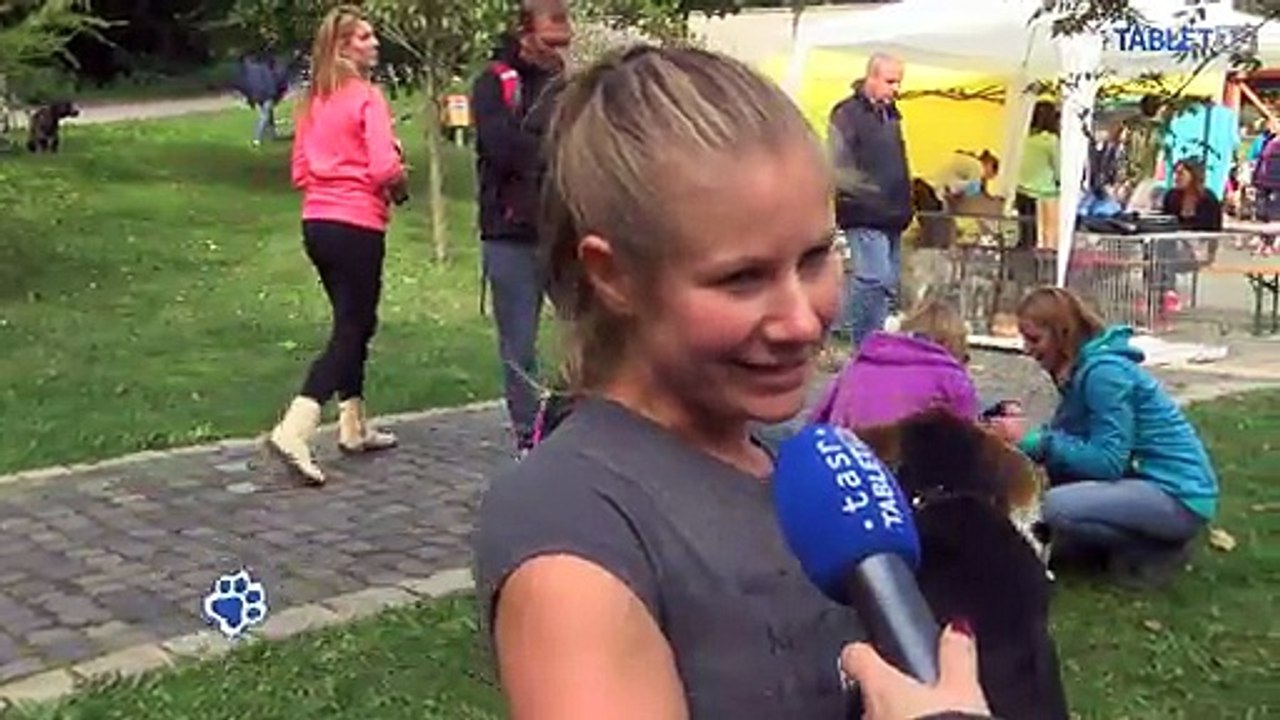 Dočaskárky sa nezastavia: Pomoc stále niekto potrebuje
