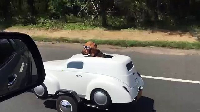 Aparentemente é um simples motociclista mas o que colocou na parte de trás da sua mota deixa todos de queixo caído!