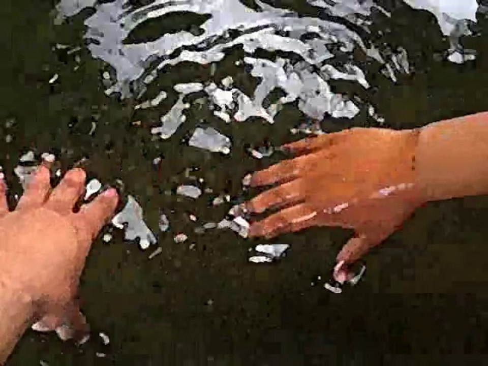 Les mains ont la parole