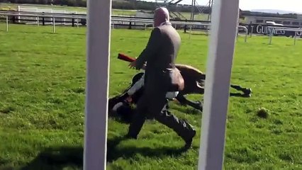 Racing horse death by accident in Galway