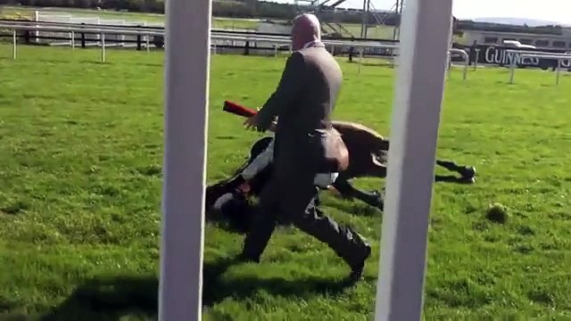 Racing horse death by accident in Galway