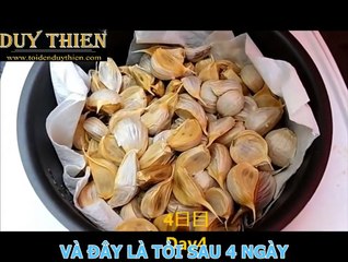 Cách làm tỏi đen tại nhà - www.toidenchatluong.net