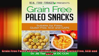 Grain Free Paleo Snacks Suitable for Paleo Gluten Free SCD and GAPS
