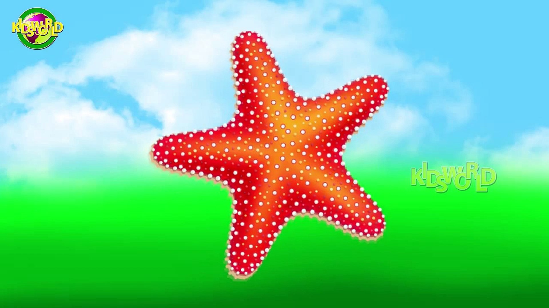 Star Fish Cartoon Finger Family | Nursery Finger Family Rhymes | Kids World Finger Family