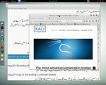 how to connect free vpn in kali linux sana 2.0