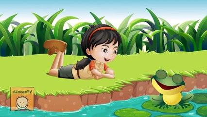 4 Küçük Kurbağa Şarkısı Bir Arada