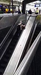 Chega dar dó. Veja como é complicado para alguns andar de escada rolante