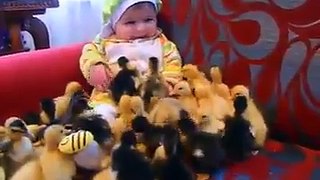 cute video little kid and duck chicks amazing.