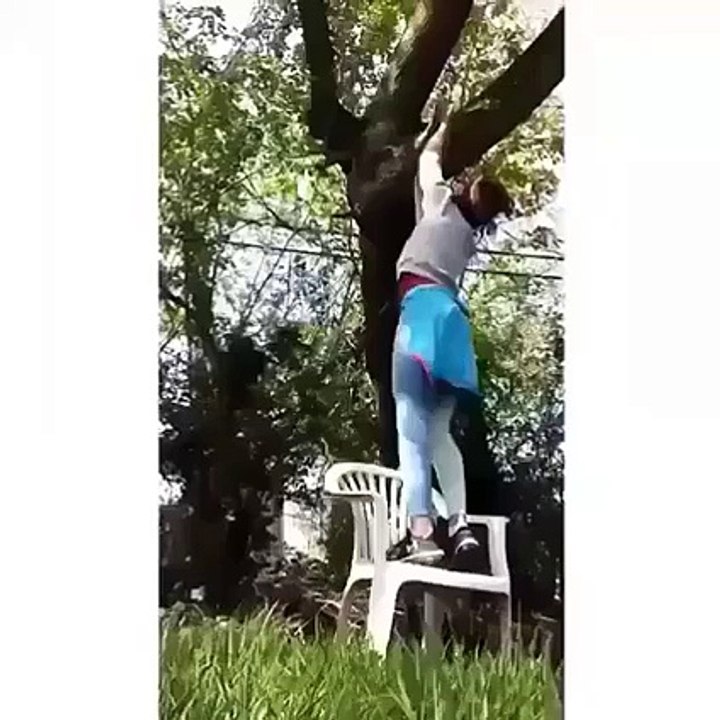 girl hanging on a tree