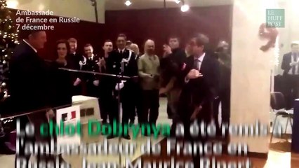 Le chiot Dobrynya remplaçant de Diesel, officiellement confié à la France