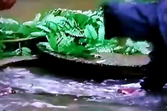 Live-Rains in Chennai - Heavy rainfall disrupts normal life