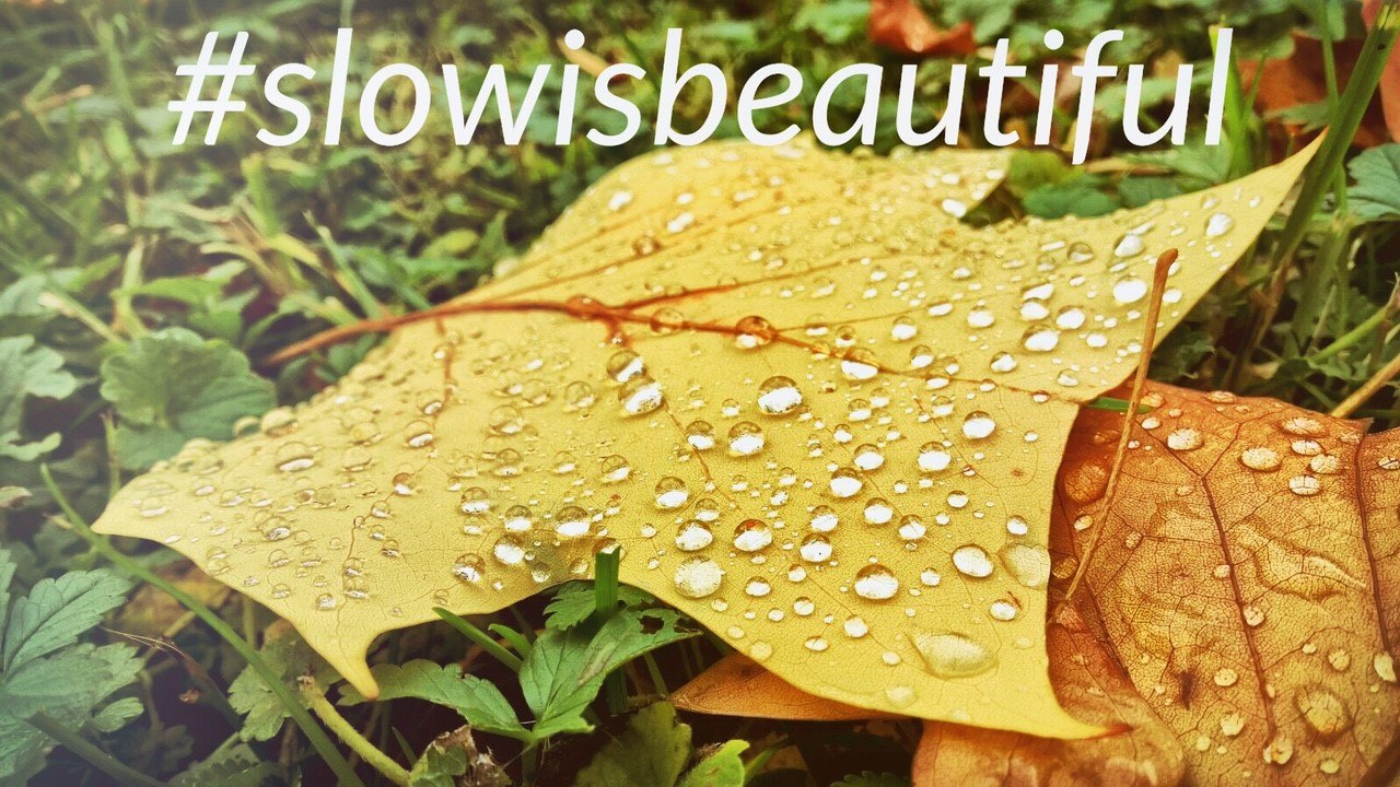 SLOW - Fabulous brave things !