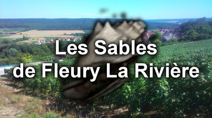 Hors Série 2 - Les Sables de Fleury La Rivière