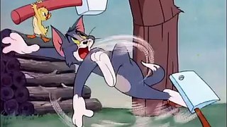 Very Funny  Tom and Jerry New Episode.....