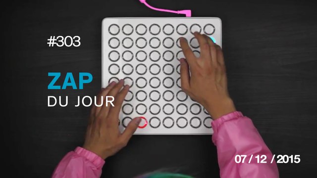 ZAP DU JOUR #303 : Burnt Rice - Shawn Wasabi / Une maman chat présente ses chatons à un vieil ami ! / K.O. ! /
