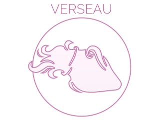 VERSEAU : Un déception amoureuse vous guette natives de janvier !