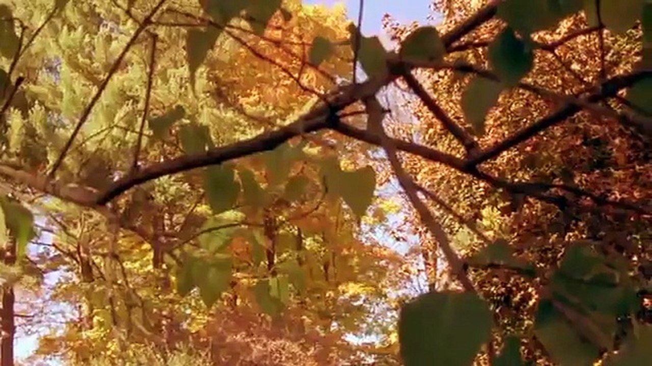Eulogy for a Vampire (2009) - Trailer