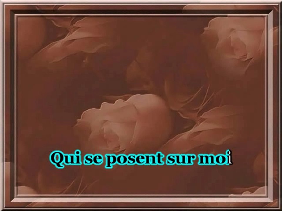 stone et eric charden l'aventura