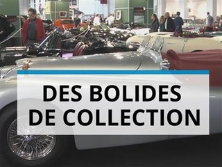 Un salon pour les amateurs de vieilles voitures