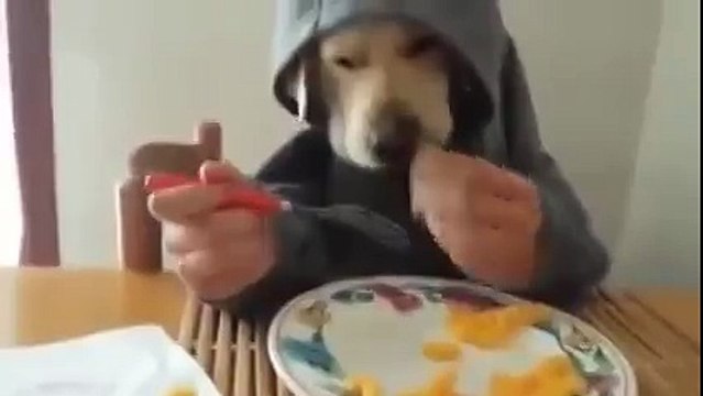 Целый день ржал. КАК МОЖНО ДО ТАКОГО ДОДУМАТЬСЯ?