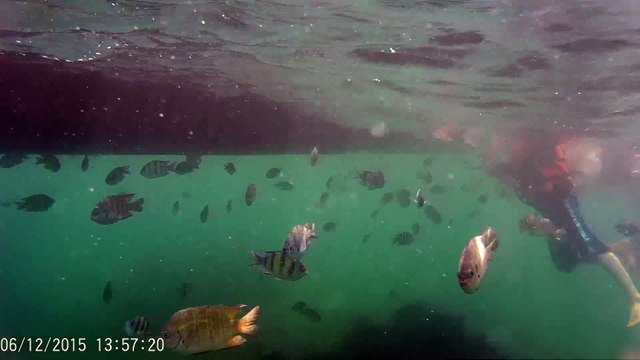 กระบี่ 3 (ธค58)