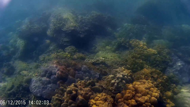 กระบี่ 4 (ธค58)