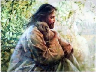 HEAVEN'S HOPE by Stephen Hereford.