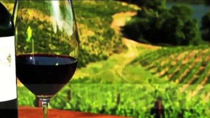 Soooo AmaZing...Winery Tours with Limo CT!!!!!