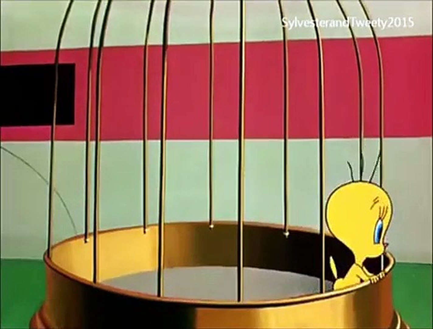 Sylvester and Tweety - Tweety in ALL A BIR-R-R-D Part 1 - Dailymotion Video