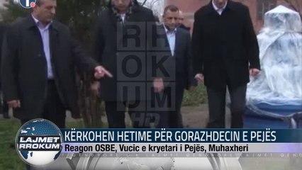 KËRKOHEN HETIME PËR GORAZHDECIN E PEJËS