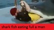 OMG!! shark fish eating full a man